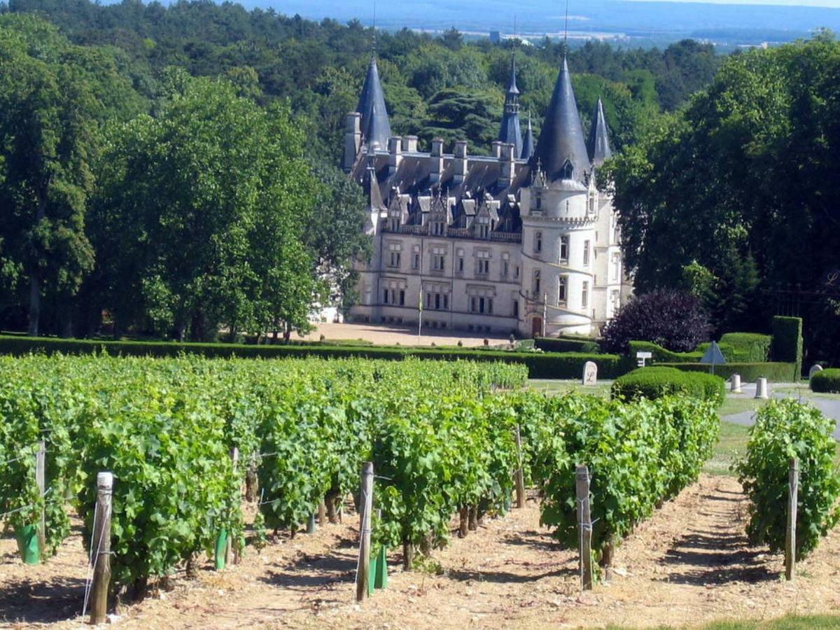 Gite Des Chaumiennes Pouilly-sur-Loire Exterior photo